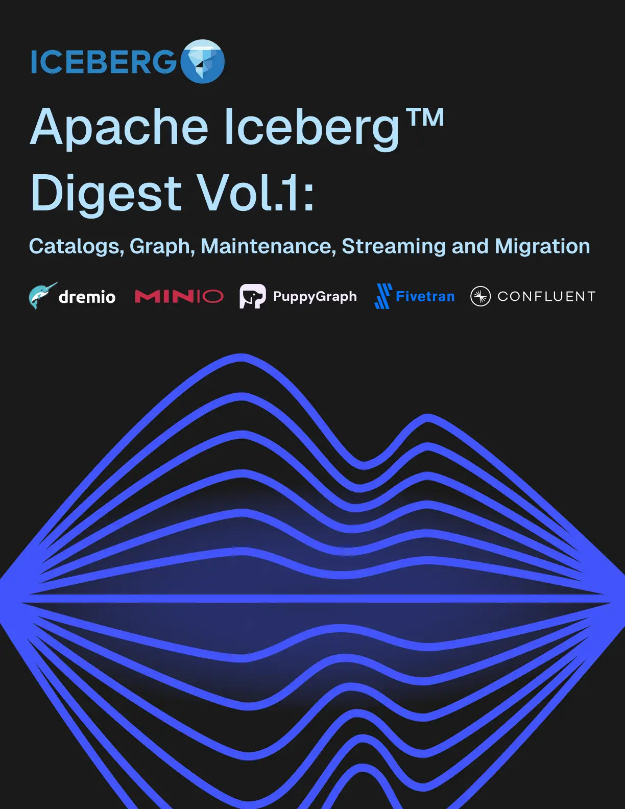The Apache Iceberg Digest: Vol 1 cover